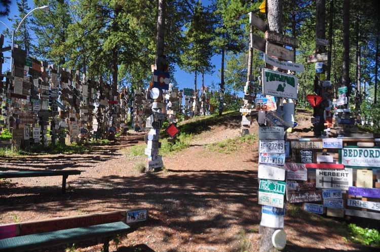 signpost forest
